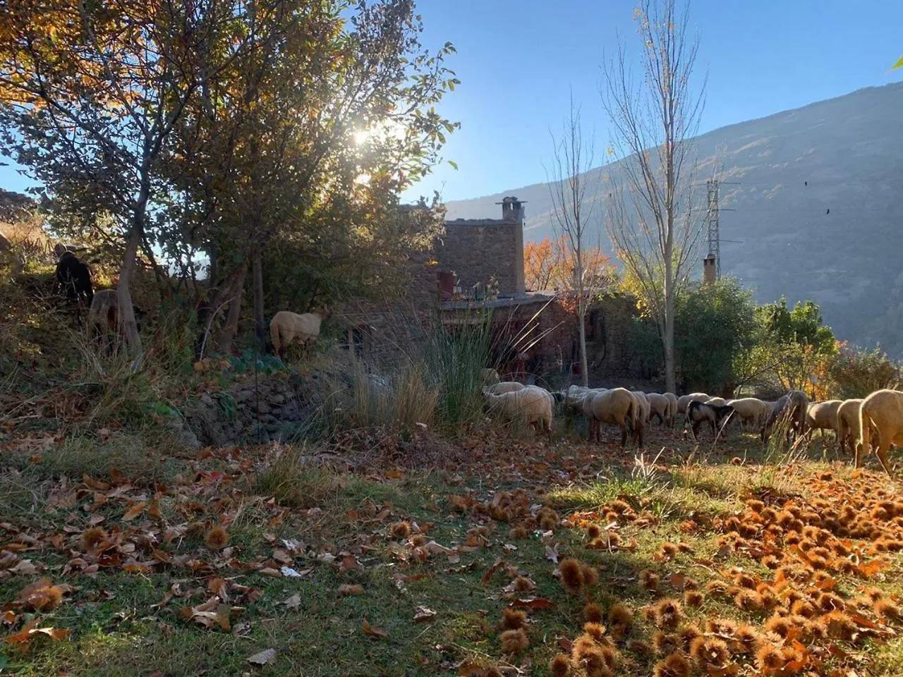Chalet Cortijo Rural El Albercon - Capileira - Alpujarra Rural Villa España