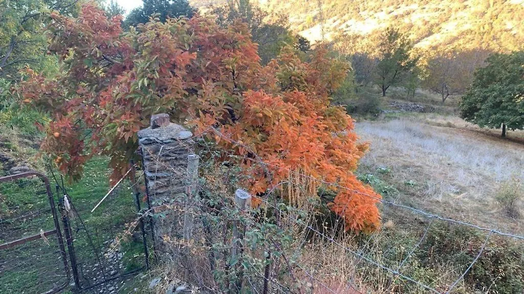 Chalet Cortijo Rural El Albercon - Capileira - Alpujarra Rural Villa